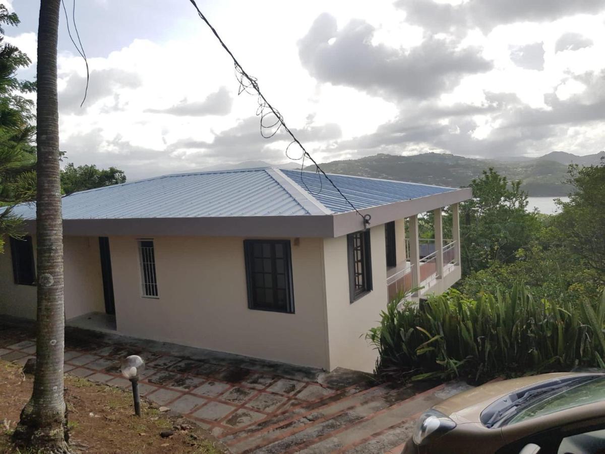 Top Hill Hostel- Martinique- Auberge Dortoir La Trinité Exterior photo